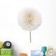 Dahlia Wall Decal