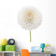 Dahlia Wall Decal