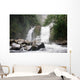 Costa Rica Waterfall Wall Mural