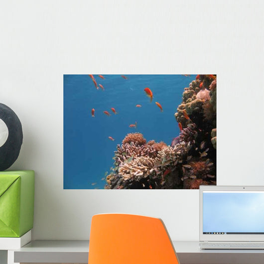 Coral Reef Scene 2 Wall Decal