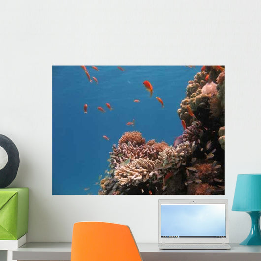 Coral Reef Scene 2 Wall Decal
