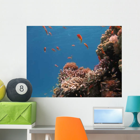 Coral Reef Scene 2 Wall Decal
