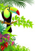 toucan bird in the jungle Wall Decal