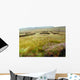 Lande Irlandaise Wall Decal