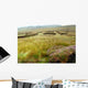 Lande Irlandaise Wall Decal