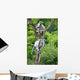 Cute Lemurs Wall Mural