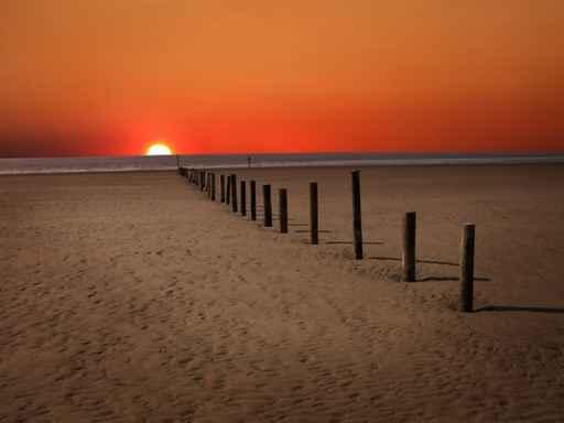 Beach Sunset Wall Decal