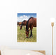 Herd Horses