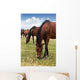 Herd Horses