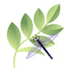 Dragonfly with Leaves