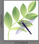 Dragonfly with Leaves