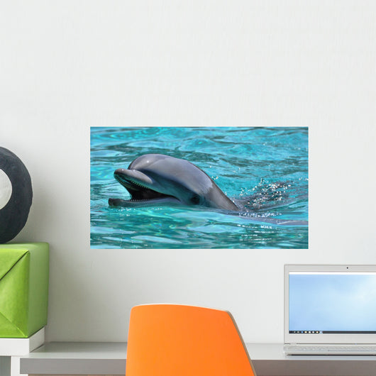Lachender Delfin Wall Mural
