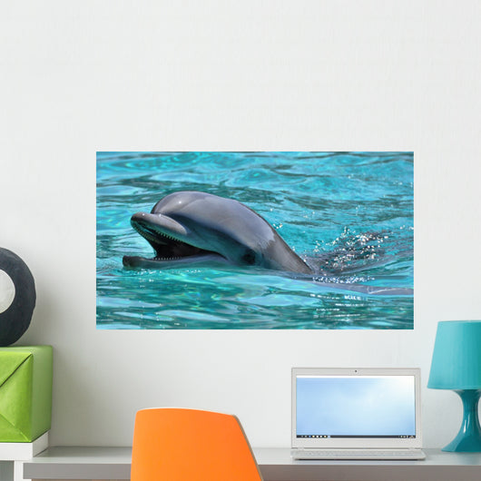 Lachender Delfin Wall Mural