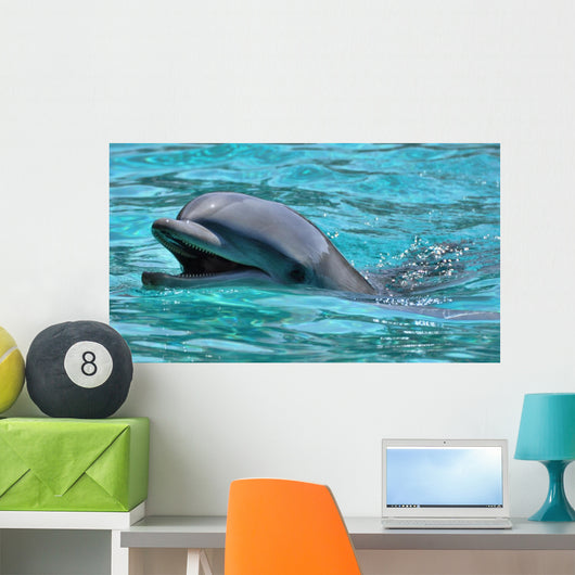 Lachender Delfin Wall Mural