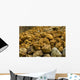 Rocks Wall Decal