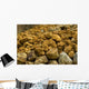 Rocks Wall Decal