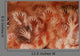 Rock Art Cave Hands