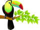 Vector Illustration Toucan Bird