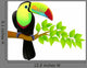 Vector Illustration Toucan Bird