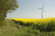 Wind Turbines and Rapeseed Wall Decal Design 2