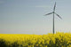 Wind Turbines and Rapeseed Wall Decal Design 1