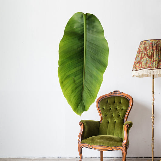 Banana leaf Wall Decal