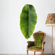 Banana leaf Wall Decal