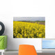 Rapeseed Field Wall Decal Design 1