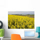 Rapeseed Field Wall Decal Design 1
