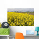 Rapeseed Field Wall Decal Design 1