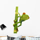 Tree Frog Bamboo Bole Wall Decal