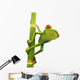 Tree Frog Bamboo Bole Wall Decal