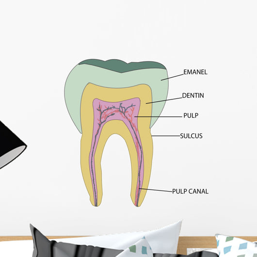Molar Wall Mural