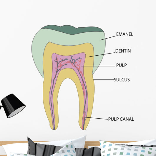 Molar Wall Mural