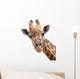 Giraffe Closeup Wall Decal