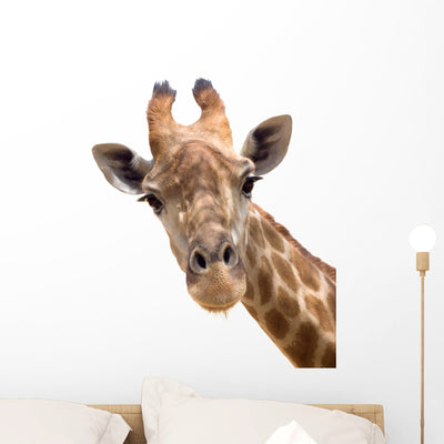 Giraffe Closeup Wall Decal shown on a wall