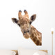 Giraffe Closeup Wall Decal