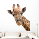 Giraffe Closeup Wall Decal