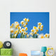 Narcissus