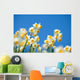 Narcissus