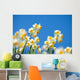 Narcissus