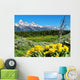 Grand Teton National Park