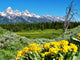 Grand Teton National Park