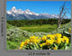 Grand Teton National Park