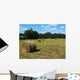 Hay Field Wall Decal