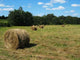 Hay Field Wall Decal