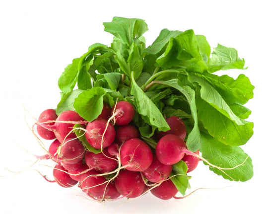 Radish