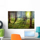 Forest Sunset