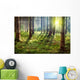 Forest Sunset