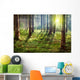 Forest Sunset